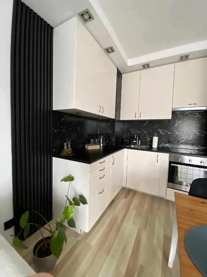 Przytulne Mieszkanie W Krakowie Apartment Krakau
